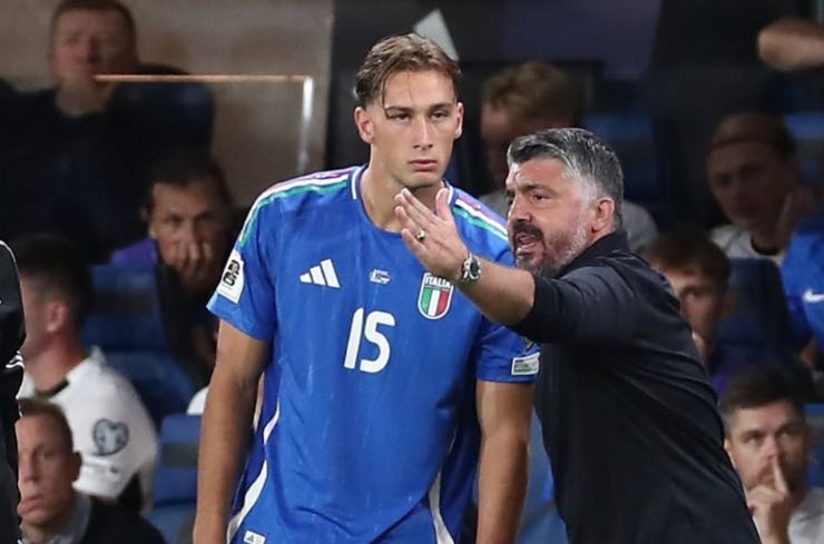 Ringhio Gatturso azzurri